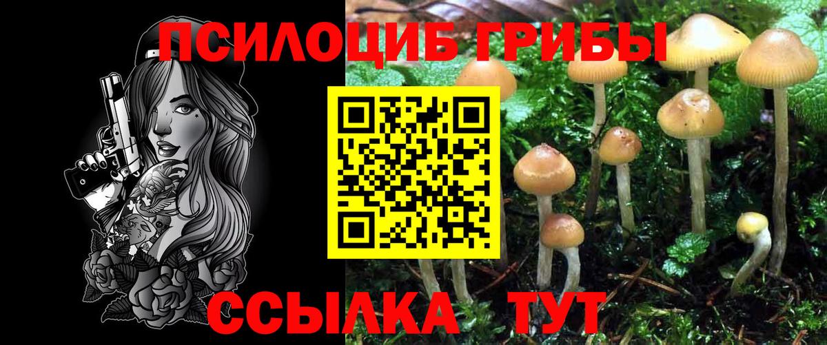 Псилоцибиновые грибы MAGIC MUSHROOMS  Псилоцибиновые грибы Psilocybe  Вход с VPN  Тамбов 