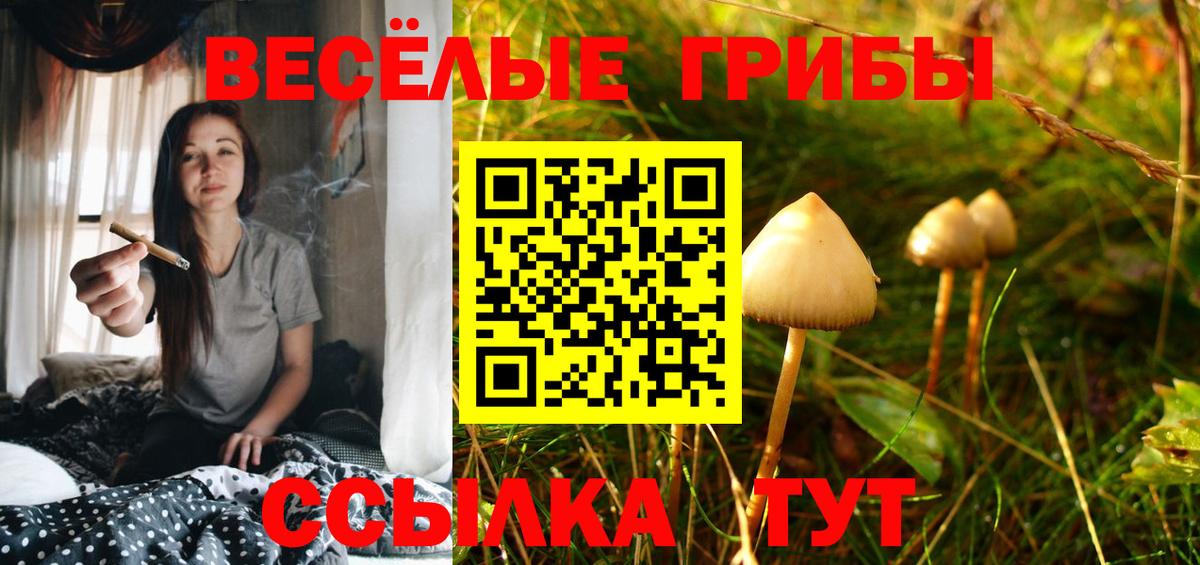 Псилоцибиновые грибы GOLDEN TEACHER Тамбов